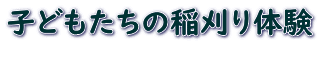 子どもたちの稲刈り体験  